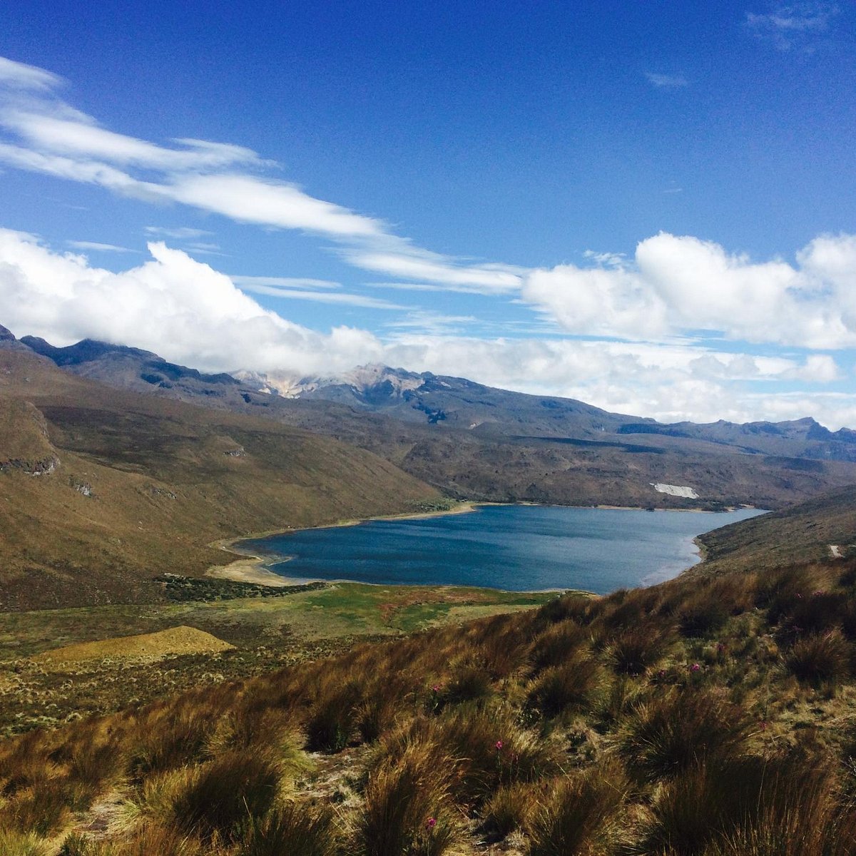 Reserva Río Otún — bosque tropical con río cristalino y aves exóticas