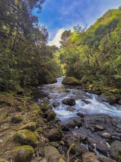Reserva Natural Río Otún — imagen 2