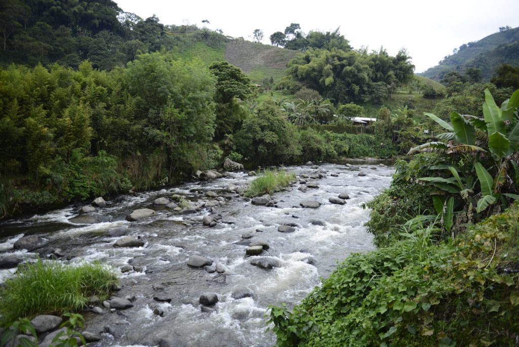 Reserva Natural Río Otún — imagen 3