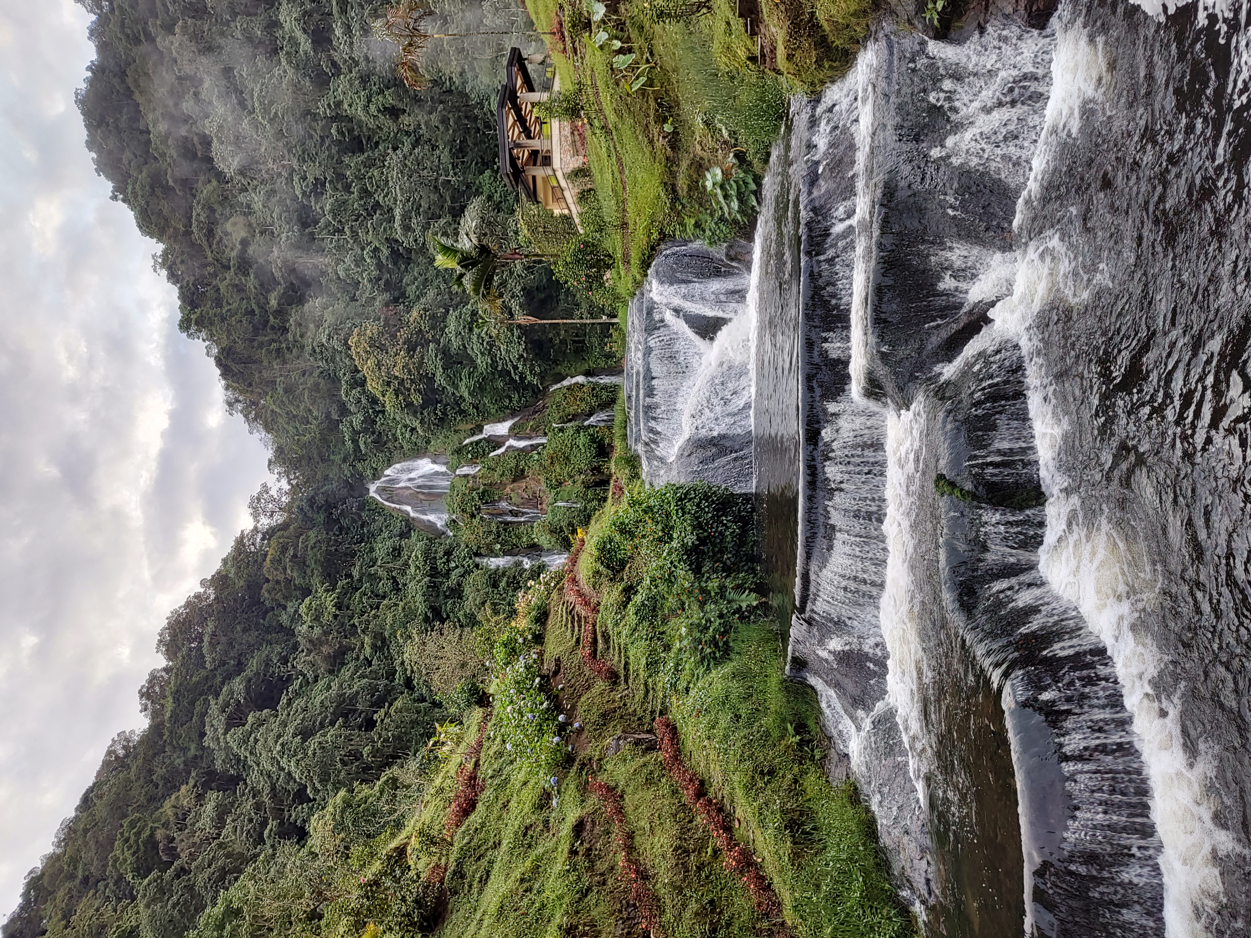 Termales Santa Rosa de Cabal — aguas termales naturales rodeadas de bosque tropical