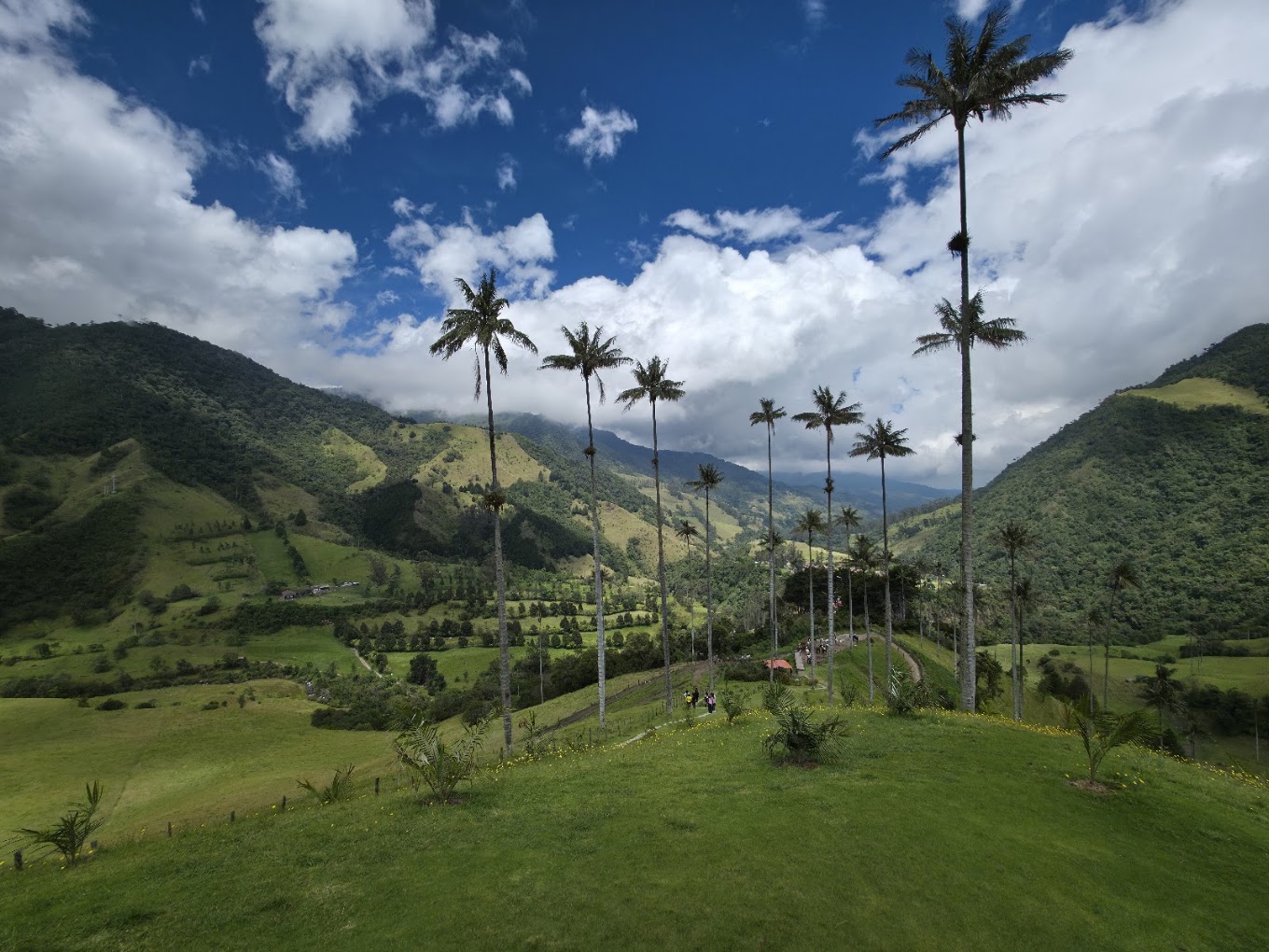 Valle del Cocora — palmas de cera monumentales bajo cielo dramático en la Región Cafetera