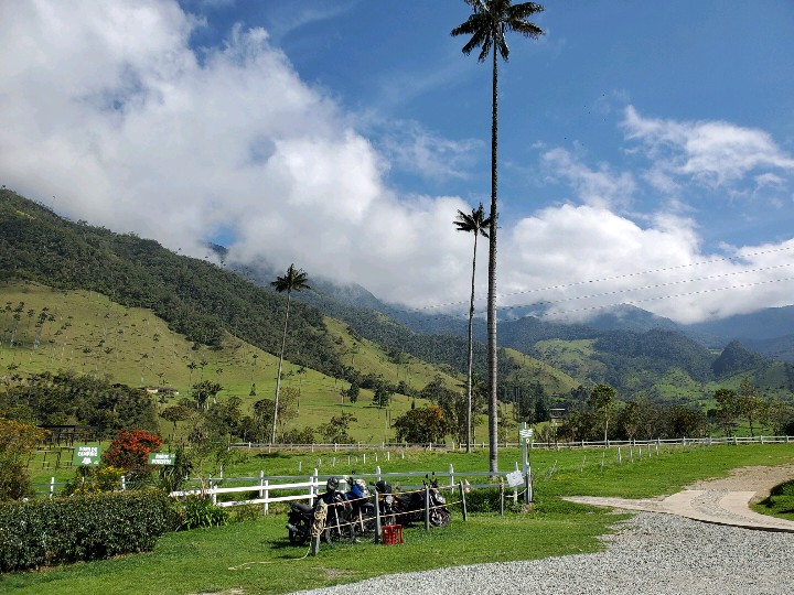 Valle del Cocora — imagen 2