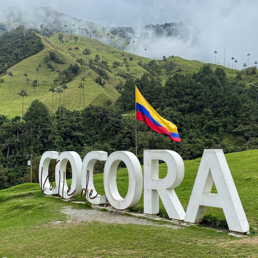 Valle del Cocora — imagen 5